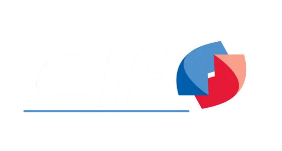 4.webp